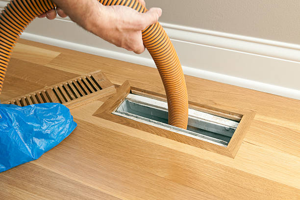 Best Air Duct Cleaning Near Me  in Kalkaska, MI