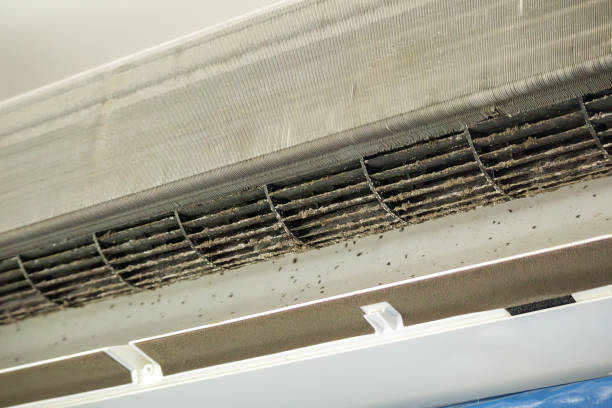 Best Dryer Vent Cleaning Services  in Kalkaska, MI